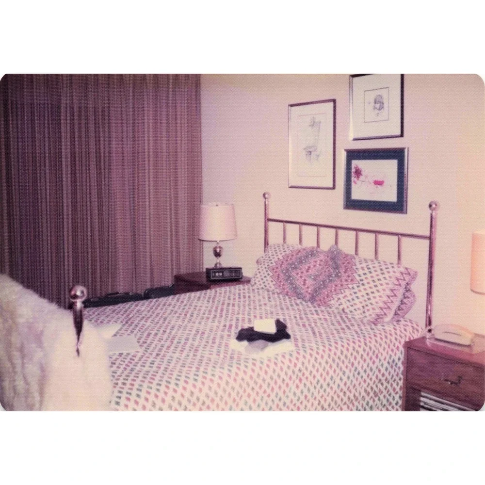 Vintage 1970s Home Interiors Lot of 8 Photos Asian Decor USAF 3.5x5 - Picture 7 of 8